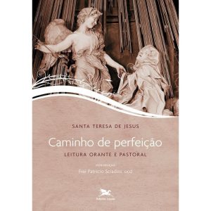 CAMINHO DE PERFEIĂĂO: LEITURA ORANTE E PASTORAL